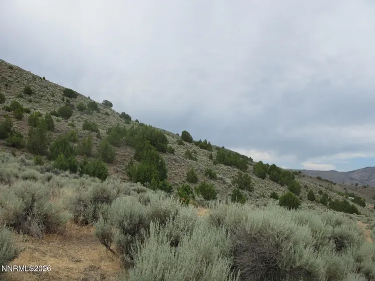 705 Pah Rah Springs, Reno, Nevada 89510, ,Land,Residential,Pah Rah Springs,0,260008485