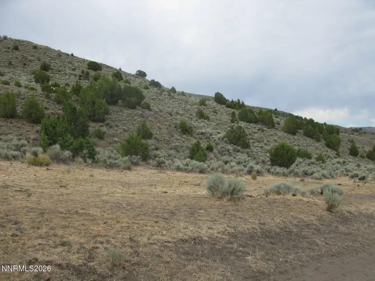 705 Pah Rah Springs, Reno, Nevada 89510, ,Land,Residential,Pah Rah Springs,0,260008485