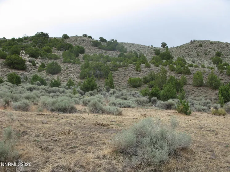 705 Pah Rah Springs, Reno, Nevada 89510, ,Land,Residential,Pah Rah Springs,0,260008485
