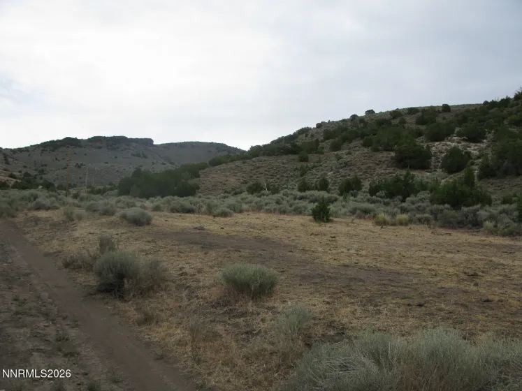 705 Pah Rah Springs, Reno, Nevada 89510, ,Land,Residential,Pah Rah Springs,0,260008485