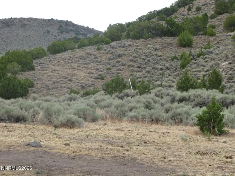 705 Pah Rah Springs, Reno, Nevada 89510, ,Land,Residential,Pah Rah Springs,0,260008485