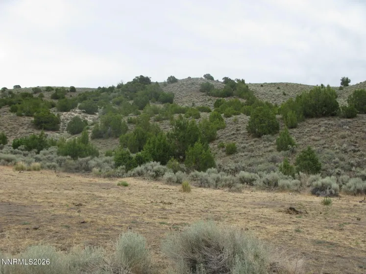 705 Pah Rah Springs, Reno, Nevada 89510, ,Land,Residential,Pah Rah Springs,0,260008485