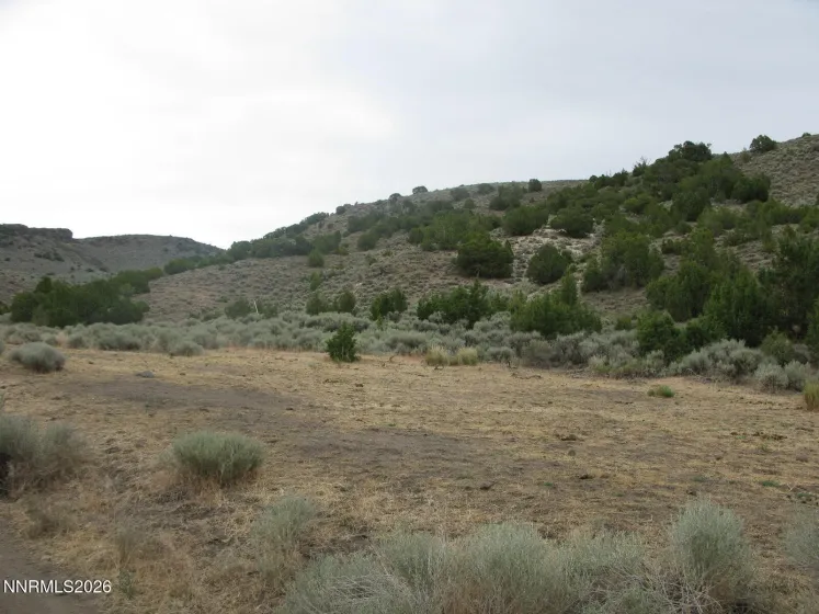 705 Pah Rah Springs, Reno, Nevada 89510, ,Land,Residential,Pah Rah Springs,0,260008485