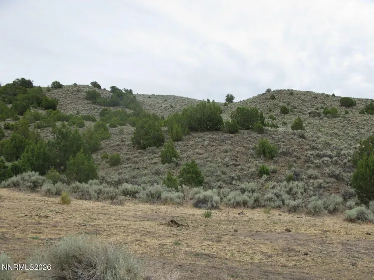 705 Pah Rah Springs, Reno, Nevada 89510, ,Land,Residential,Pah Rah Springs,0,260008485