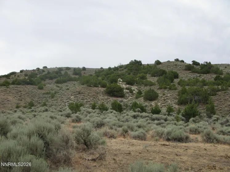 705 Pah Rah Springs, Reno, Nevada 89510, ,Land,Residential,Pah Rah Springs,0,260008485