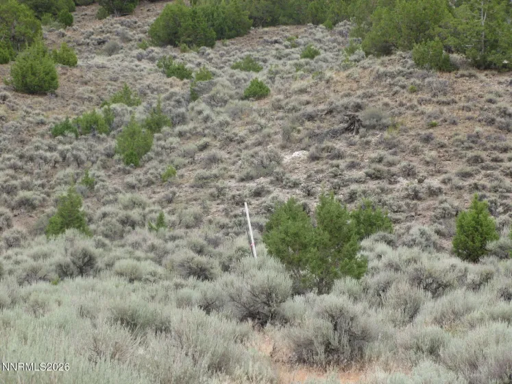 705 Pah Rah Springs, Reno, Nevada 89510, ,Land,Residential,Pah Rah Springs,0,260008485