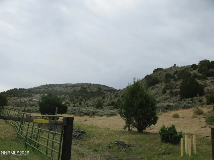 705 Pah Rah Springs, Reno, Nevada 89510, ,Land,Residential,Pah Rah Springs,0,260008485