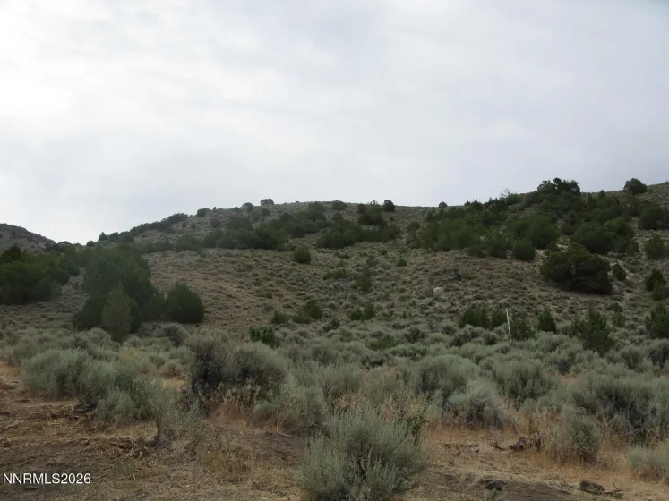 705 Pah Rah Springs, Reno, Nevada 89510, ,Land,Residential,Pah Rah Springs,0,260008485