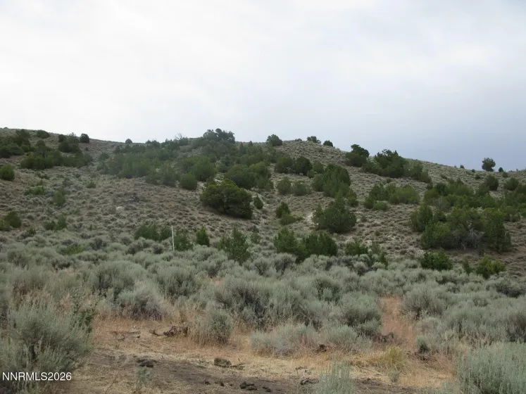 705 Pah Rah Springs, Reno, Nevada 89510, ,Land,Residential,Pah Rah Springs,0,260008485