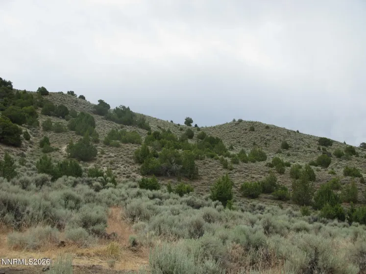 705 Pah Rah Springs, Reno, Nevada 89510, ,Land,Residential,Pah Rah Springs,0,260008485