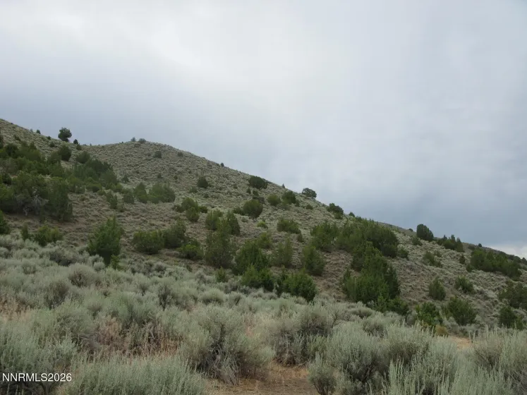 705 Pah Rah Springs, Reno, Nevada 89510, ,Land,Residential,Pah Rah Springs,0,260008485