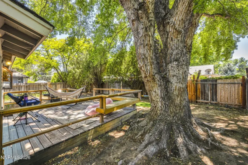 4610 Noche, Reno, Nevada 89502, 3 Bedrooms Bedrooms, ,2 BathroomsBathrooms,Residential,Residential,Noche,0,260008484