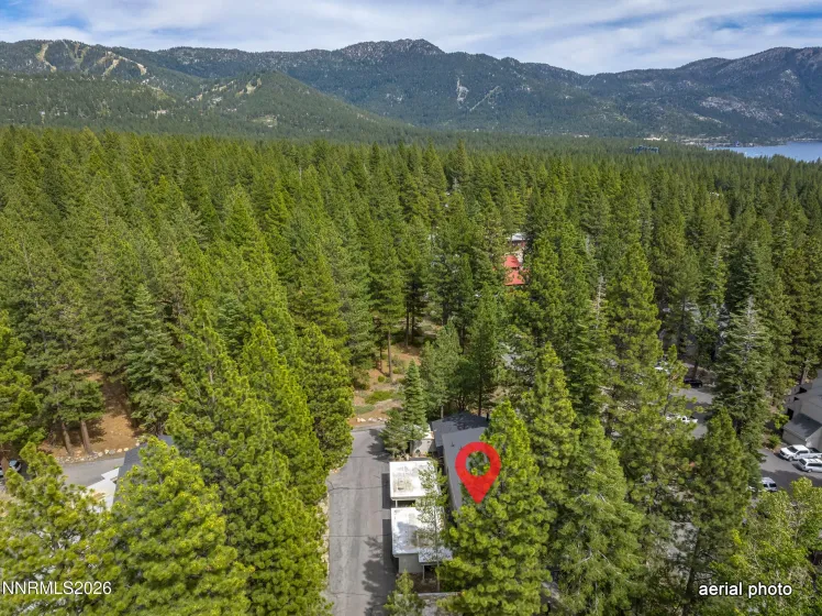 810 Alder, Incline Village, Nevada 89451, 2 Bedrooms Bedrooms, ,2 BathroomsBathrooms,Residential,Residential,Alder,0,260008487