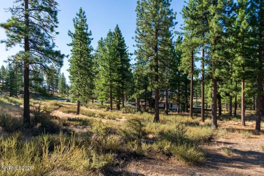 3379 Golf Club, Carson City, Nevada 89705, ,Land,Residential,Golf Club,0,260008503