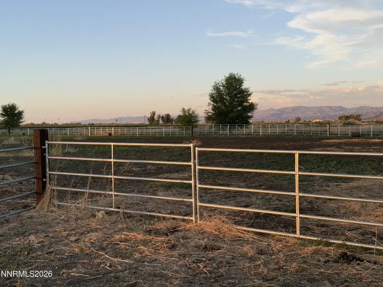 2025 Cushman, Fallon, Nevada 89406, 4 Bedrooms Bedrooms, ,3 BathroomsBathrooms,Residential,Residential,Cushman,0,260008504