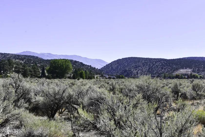 Looking East.