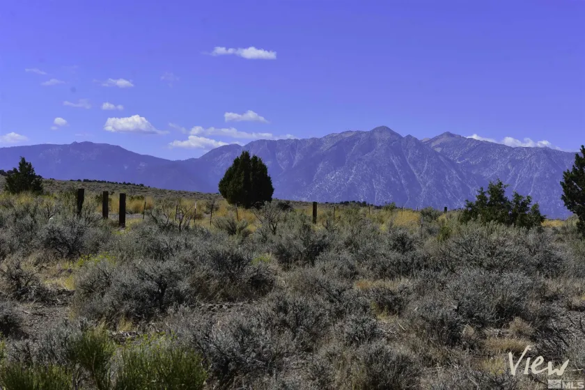 1167 Out-R-Way, Gardnerville, Nevada 89410, ,Land,Residential,Out-R-Way,0,240012772