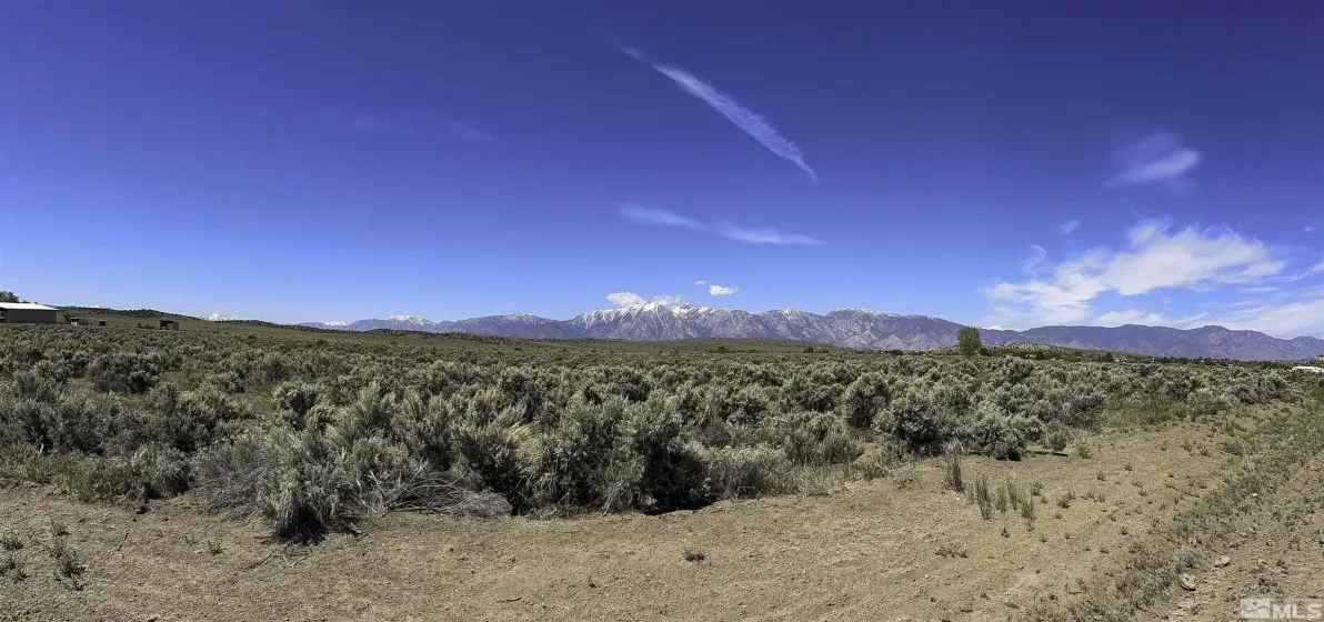TBD Bray, Gardnerville, Nevada 89410, ,Land,Residential,Bray,0,240012787