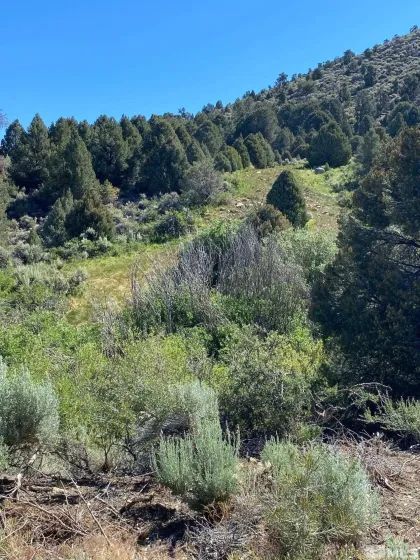 TBD El Dorado, Smith, Nevada 89447, ,Land,Residential,El Dorado,0,220016527