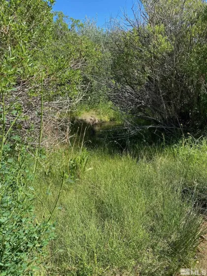 TBD El Dorado, Smith, Nevada 89447, ,Land,Residential,El Dorado,0,220016527