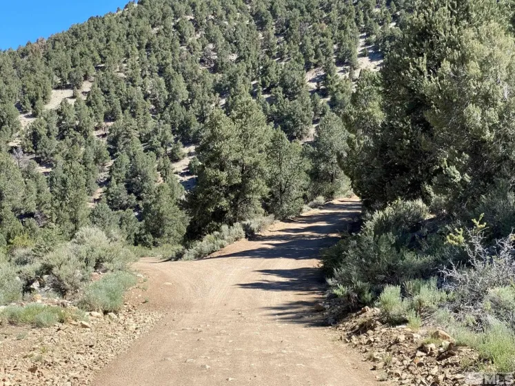 TBD El Dorado, Smith, Nevada 89447, ,Land,Residential,El Dorado,0,220016527