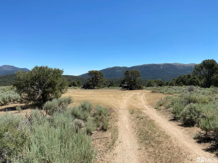 TBD El Dorado, Smith, Nevada 89447, ,Land,Residential,El Dorado,0,220016527
