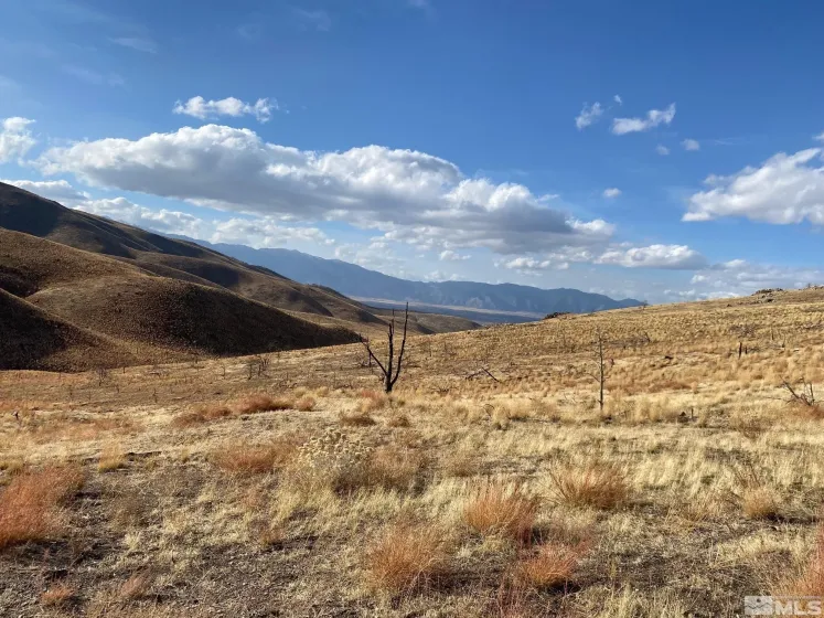 TBD parcels at Pine Nut Creek area, Gardnerville, Nevada 89410, ,Land,Residential,parcels at Pine Nut Creek area,0,220001078