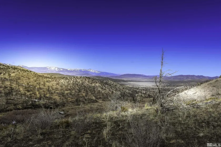 TBD parcels at Pine Nut Creek area, Gardnerville, Nevada 89410, ,Land,Residential,parcels at Pine Nut Creek area,0,220001078