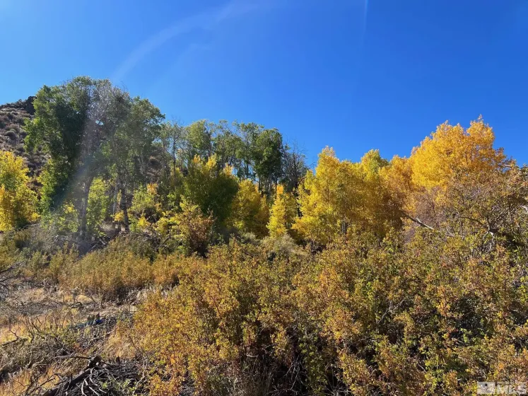 tbd El Dorado, Carson City, Nevada 89701, ,Land,Residential,El Dorado,0,220006356