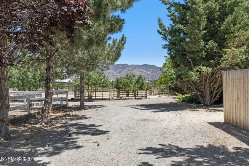 14430 Spezia, Reno, Nevada 89511, 4 Bedrooms Bedrooms, ,4 BathroomsBathrooms,Residential,Residential,Spezia,0,260008547