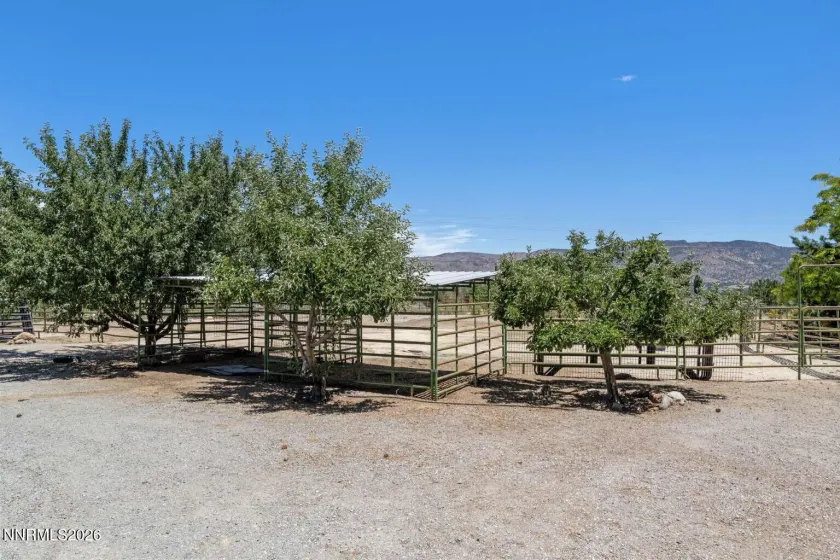 14430 Spezia, Reno, Nevada 89511, 4 Bedrooms Bedrooms, ,4 BathroomsBathrooms,Residential,Residential,Spezia,0,260008547