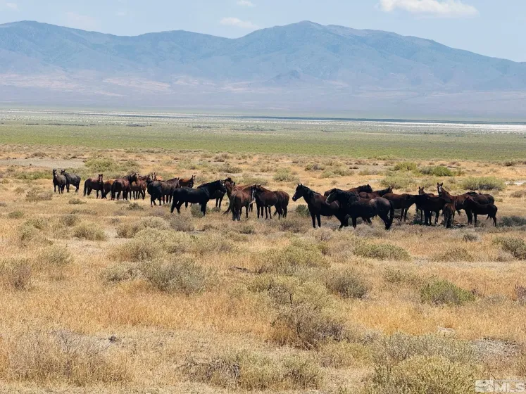 T32 Sec 25, Unionville, Nevada 89418, ,Land,Residential,Sec 25,0,220010152