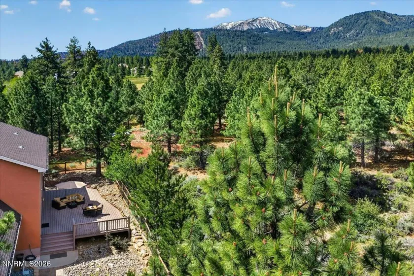 16925 Mt Rose, Reno, Nevada 89511, 4 Bedrooms Bedrooms, ,4 BathroomsBathrooms,Residential,Residential,Mt Rose,0,260008593