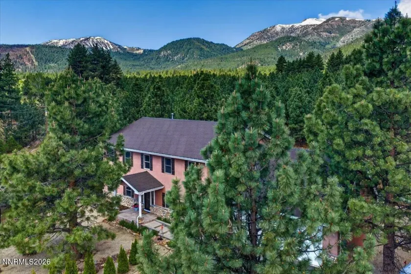 16925 Mt Rose, Reno, Nevada 89511, 4 Bedrooms Bedrooms, ,4 BathroomsBathrooms,Residential,Residential,Mt Rose,0,260008593
