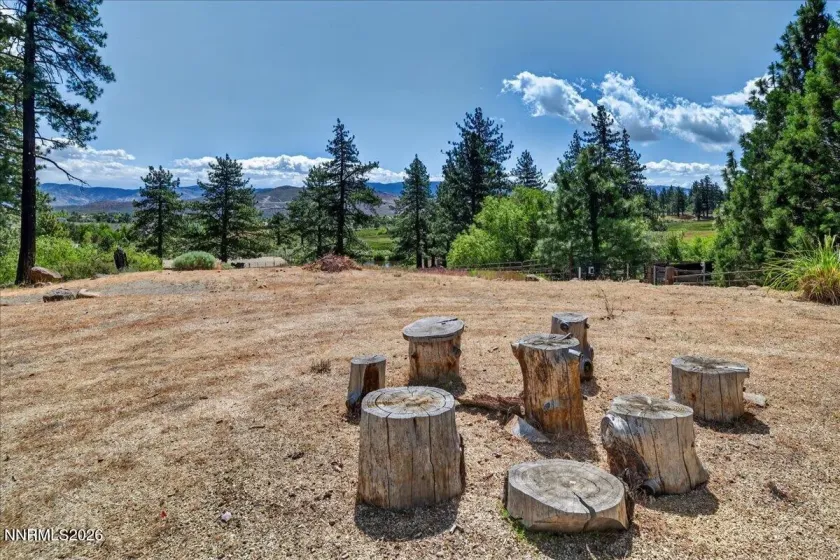 16925 Mt Rose, Reno, Nevada 89511, 4 Bedrooms Bedrooms, ,4 BathroomsBathrooms,Residential,Residential,Mt Rose,0,260008593