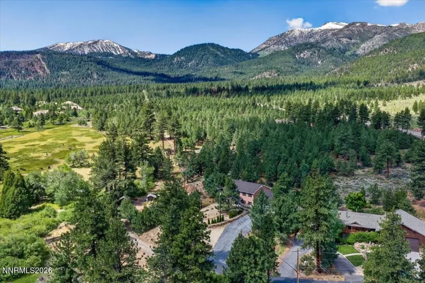16925 Mt Rose, Reno, Nevada 89511, 4 Bedrooms Bedrooms, ,4 BathroomsBathrooms,Residential,Residential,Mt Rose,0,260008593