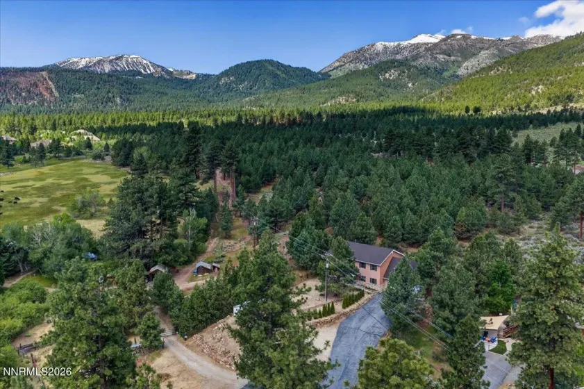 16925 Mt Rose, Reno, Nevada 89511, 4 Bedrooms Bedrooms, ,4 BathroomsBathrooms,Residential,Residential,Mt Rose,0,260008593