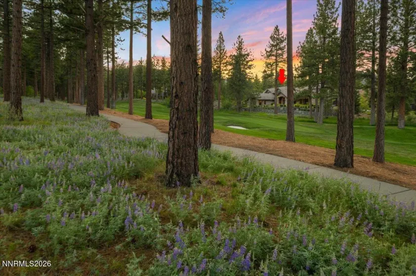 5900 Chambery, Reno, Nevada 89511, 6 Bedrooms Bedrooms, ,8 BathroomsBathrooms,Residential,Residential,Chambery,0,260008629