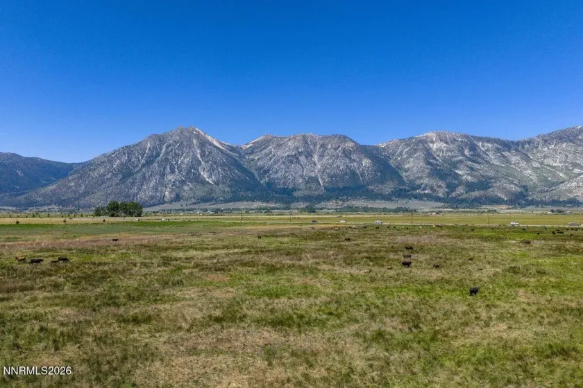 1195 Nevada 88, Gardnerville, Nevada 89460, ,Land,Residential,Nevada 88,0,260008659