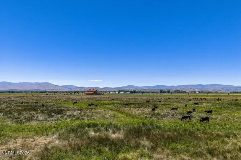 1195 Nevada 88, Gardnerville, Nevada 89460, ,Land,Residential,Nevada 88,0,260008659