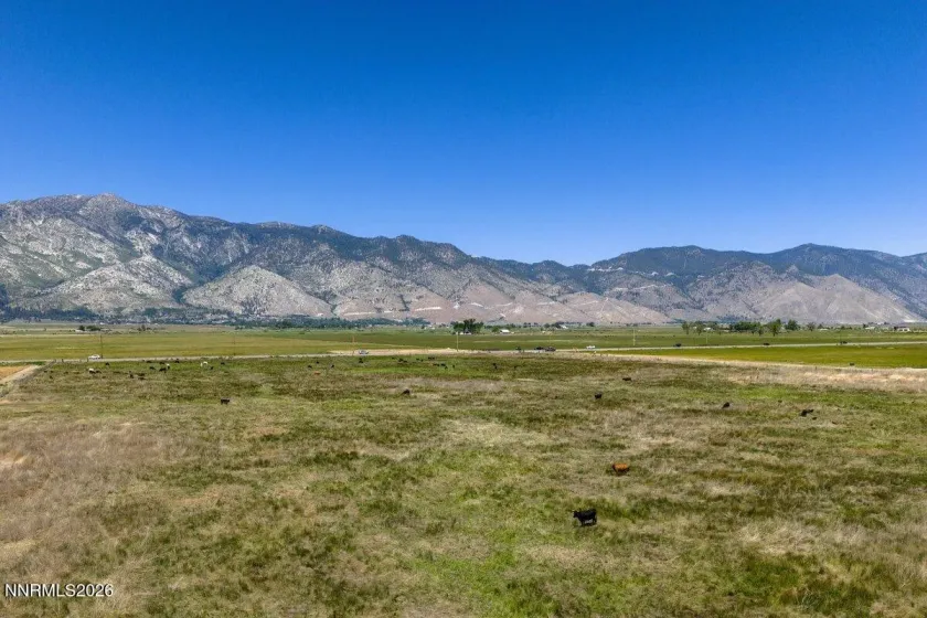 1195 Nevada 88, Gardnerville, Nevada 89460, ,Land,Residential,Nevada 88,0,260008659
