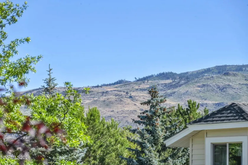 1434 Ambassador, Reno, Nevada 89523, 4 Bedrooms Bedrooms, ,3 BathroomsBathrooms,Residential,Residential,Ambassador,0,260008676