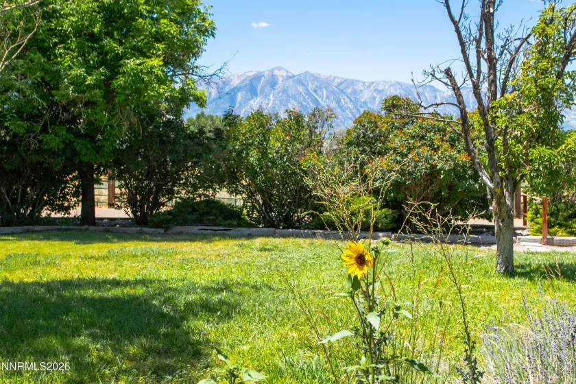 1917 Arabian, Gardnerville, Nevada 89410, 3 Bedrooms Bedrooms, ,2 BathroomsBathrooms,Residential,Residential,Arabian,0,260008686