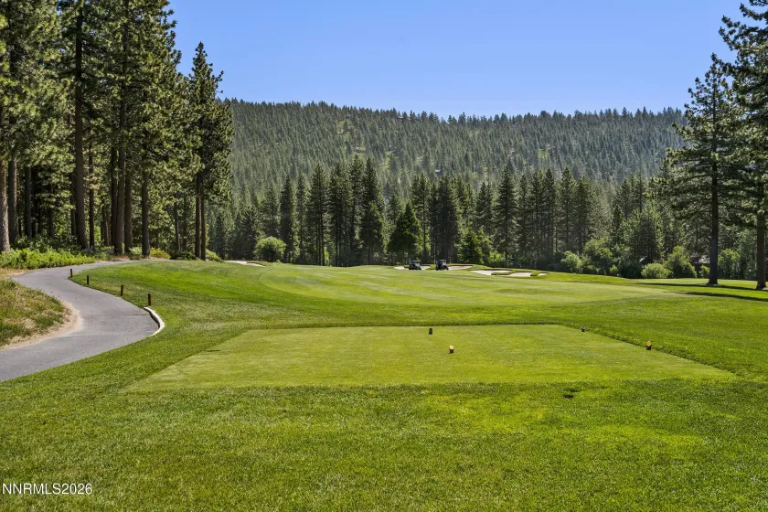 971 Fairway, Incline Village, Nevada 89451, 3 Bedrooms Bedrooms, ,3 BathroomsBathrooms,Residential,Residential,Fairway,0,260008705