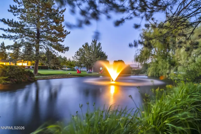 Pond