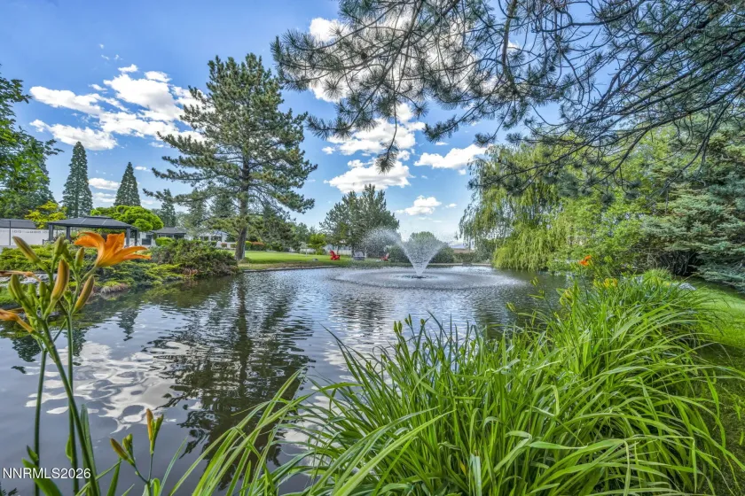 Pond