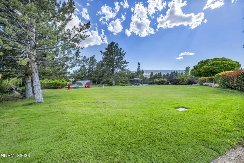 Rear yard