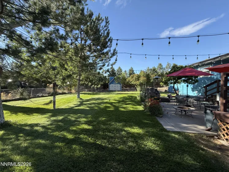Backyard