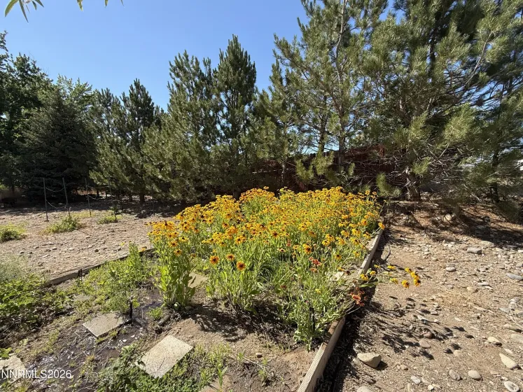 Garden Area
