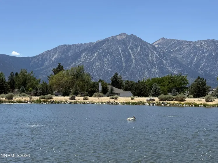 Mitch Park Fishing Pond